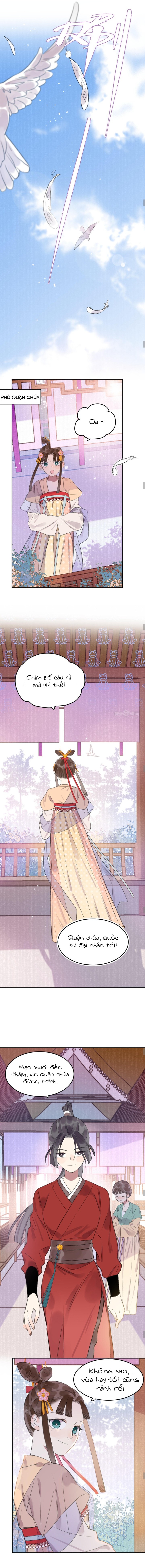 tôi không đời nào chịu yêu một tên đàn ông bằng giấy đâu chapter 44 3