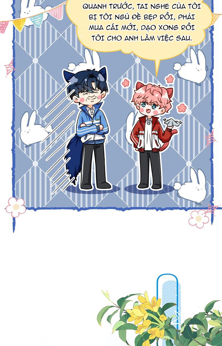 tín tức tố nói chúng ta không thể chapter 38 9