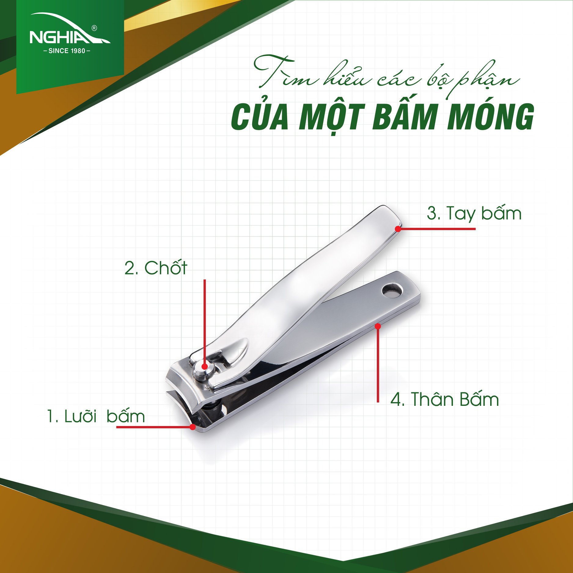 Bấm Móng Tay Chân Thép Không Gỉ KỀM NGHĨA B.904 - Lưỡi Cong (Loại Nhỏ)