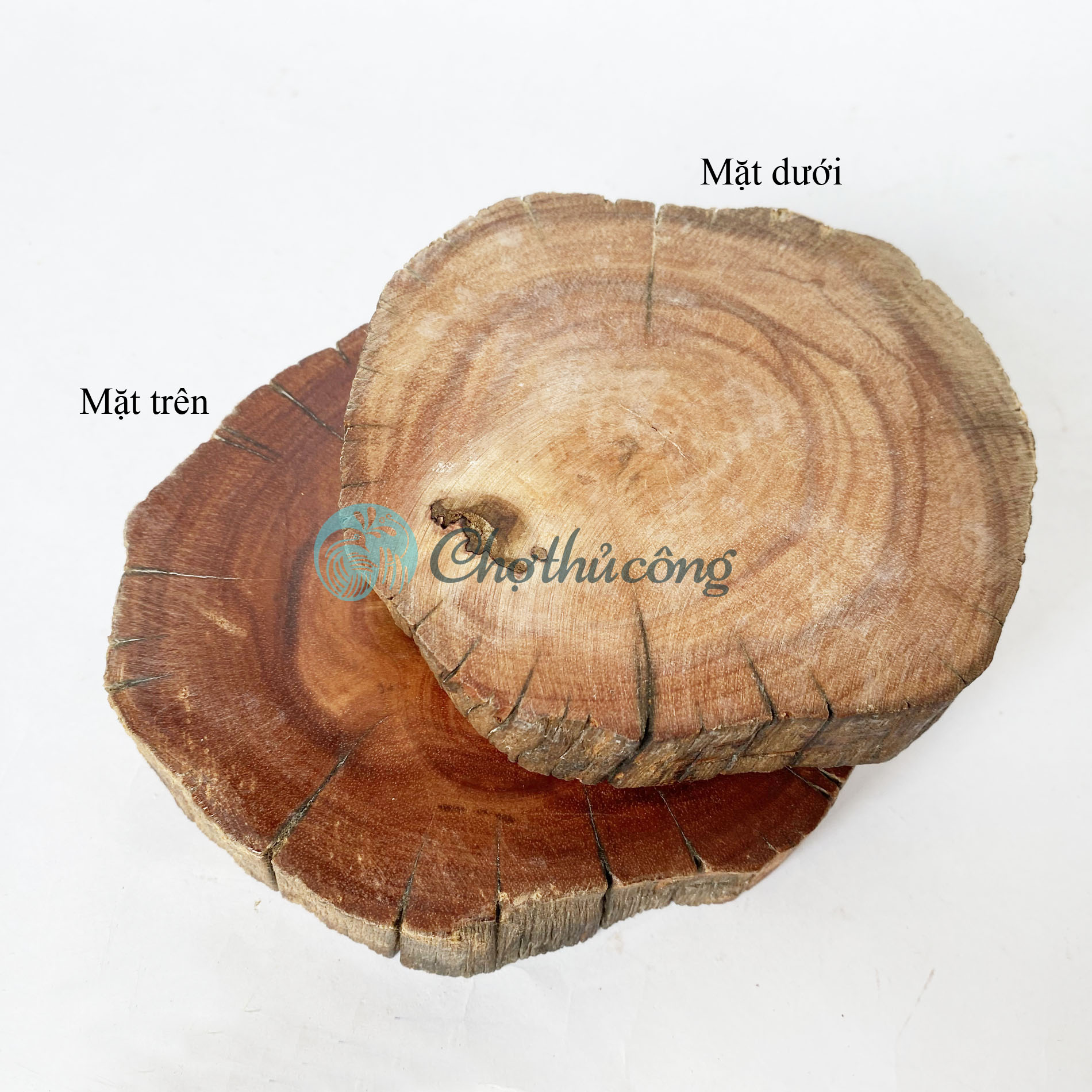 Lót cốc, đế lót ly gỗ lũa tự nhiên - Miếng gỗ tròn decor - đế gỗ tròn lót chậu cây, đế gỗ kê tượng, lát gỗ trang trí