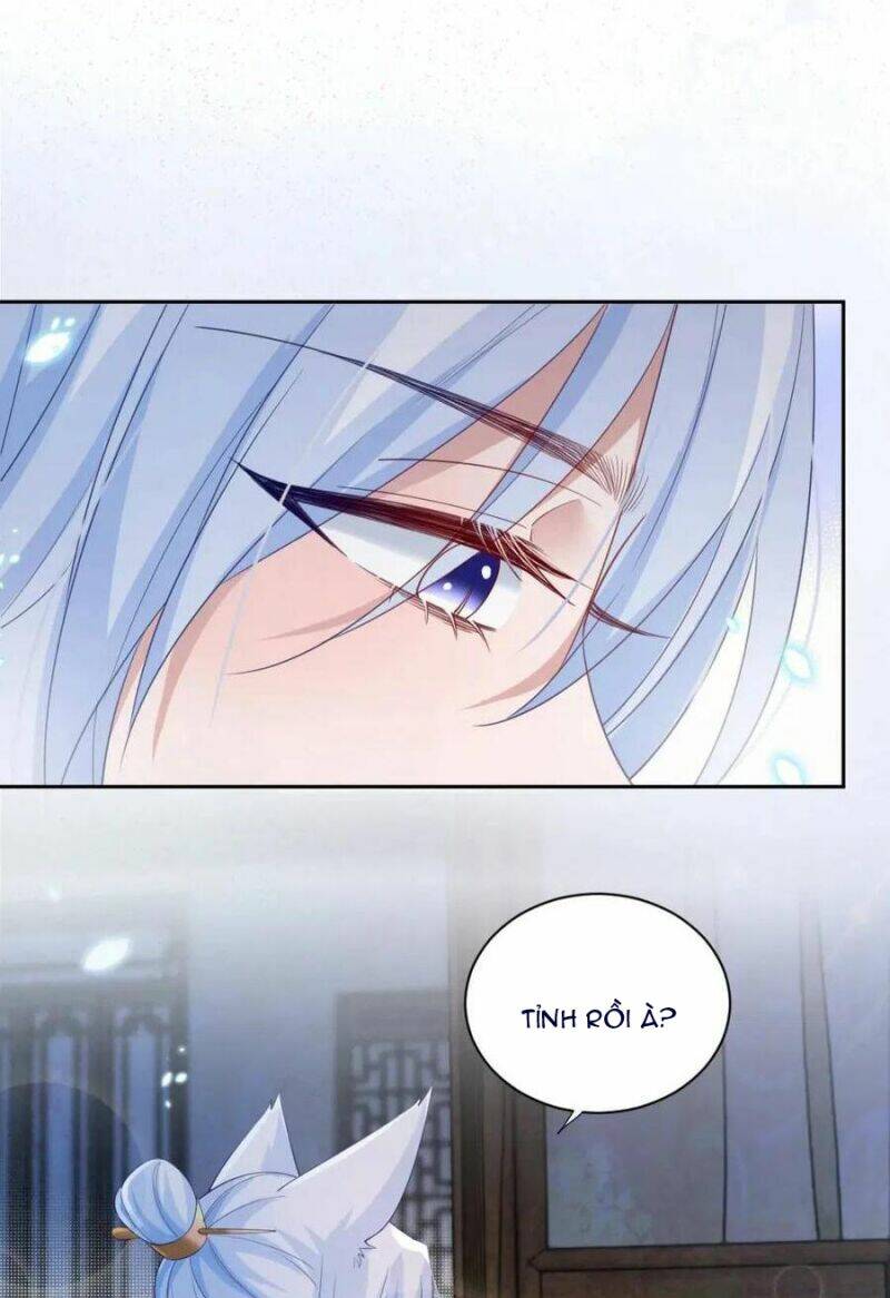 hắc hóa nam chính trực tuyến nuôi thỏ chapter 59 3