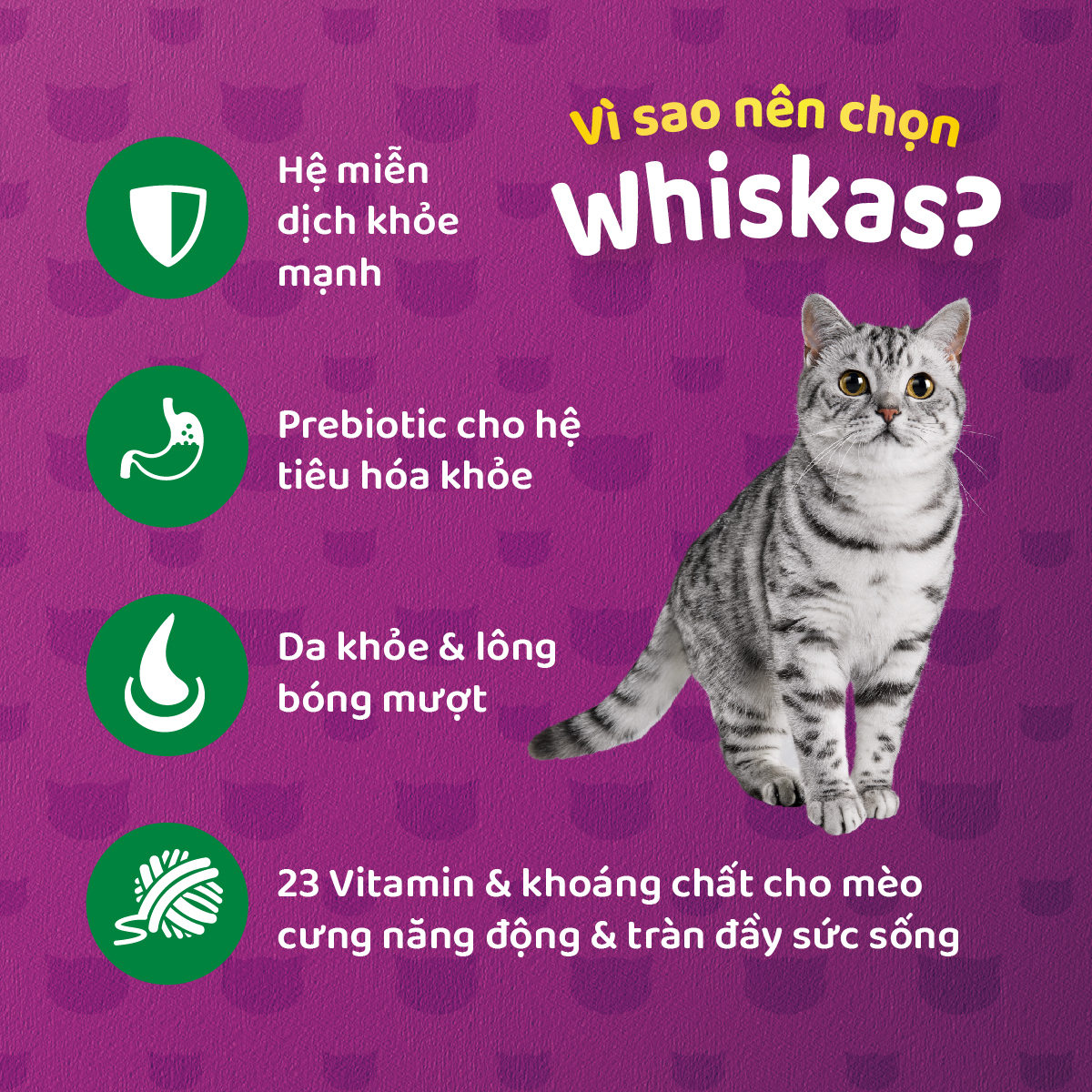 Thức ăn dạng hạt khô cho mèo lớn WHISKAS - 1.2kg