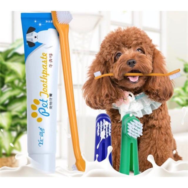 Bộ Đánh Răng Kem Đánh Răng Bàn Chải Đánh Răng Chó Mèo Pet Joothpaste