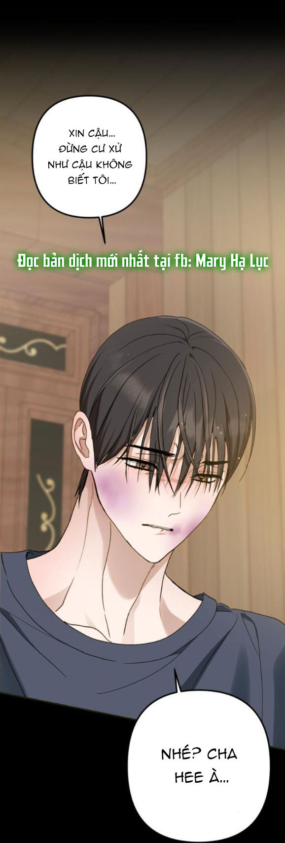 bóng râm mùa xuân chapter 8.2 28
