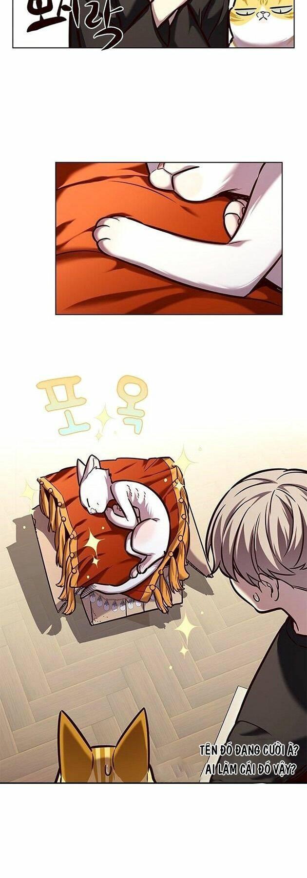 biến thân thành mèo chapter 218 55