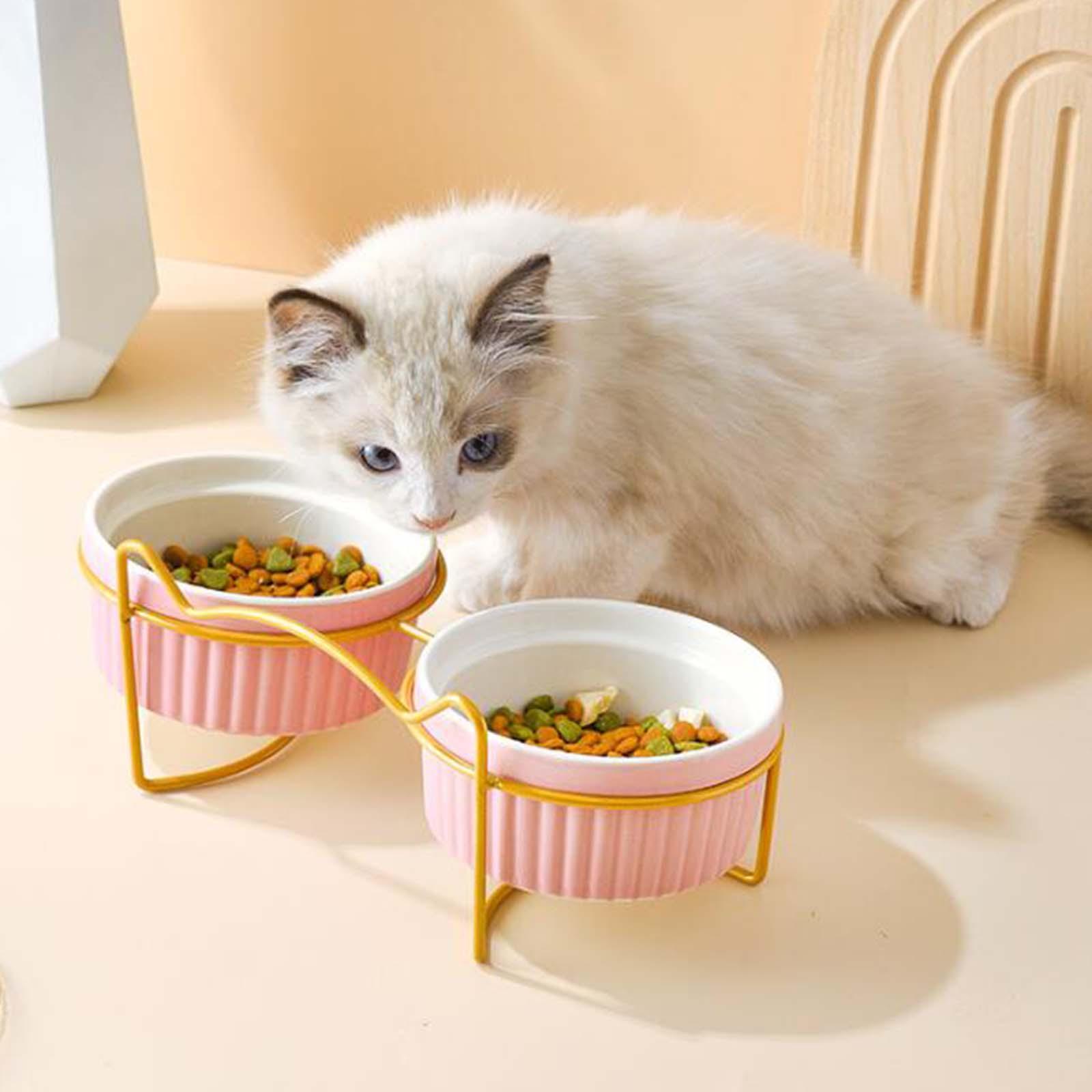 Raised Cat Food Bowl Food Dispenser Dog Bowl Water Food Feeder Bowl Cat Dish