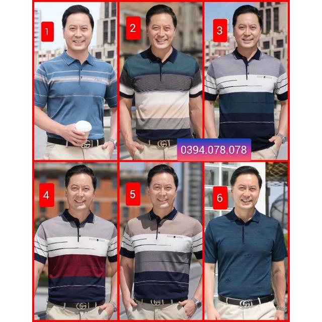 - Áo phông trung niên cổ bẻ cho bố hàng Quảng Châu