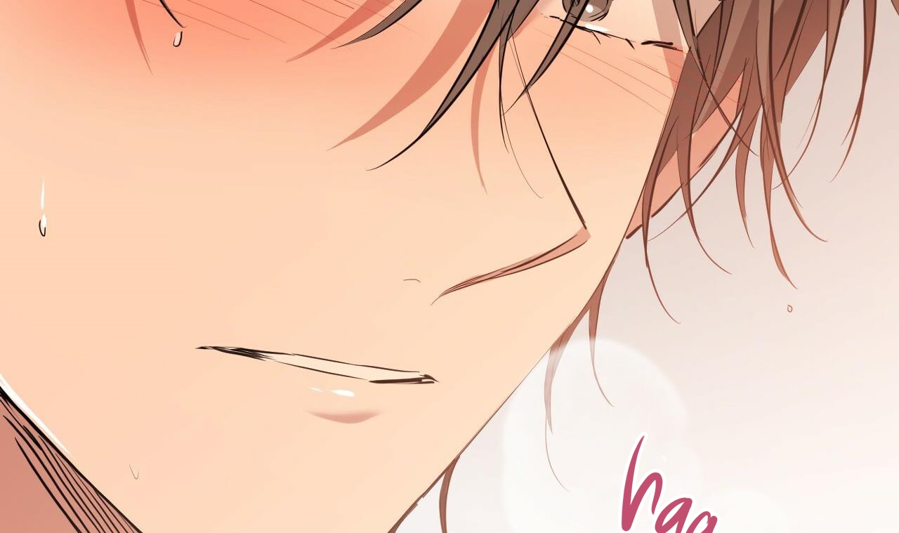 đàn thỏ của habibi chapter 25 150