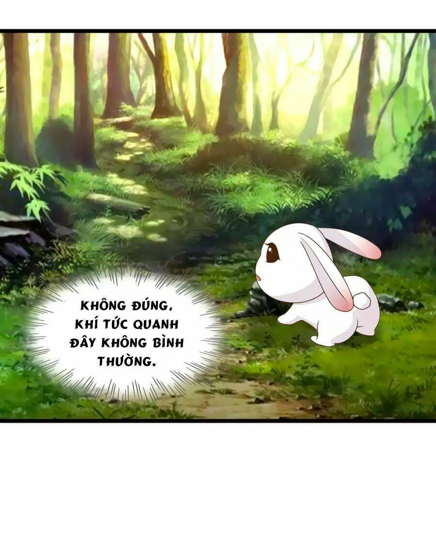 thỏ yêu tiểu vương phi chapter 93 26