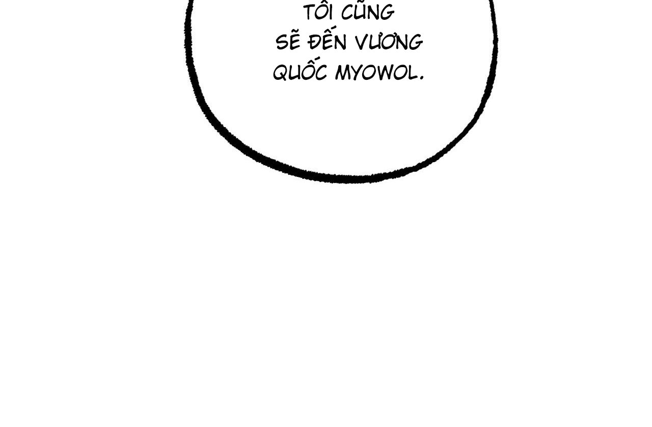 những chú thỏ của hapypy chapter 61 118