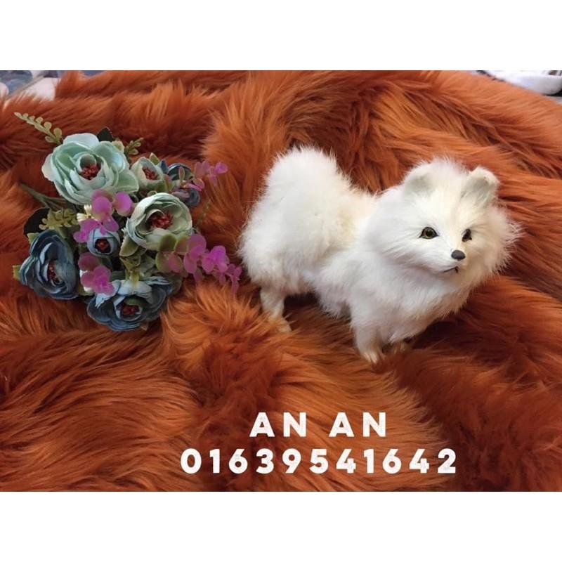 Thảm lông chụp ảnh - Trải sàn - Size 1m x 1m6