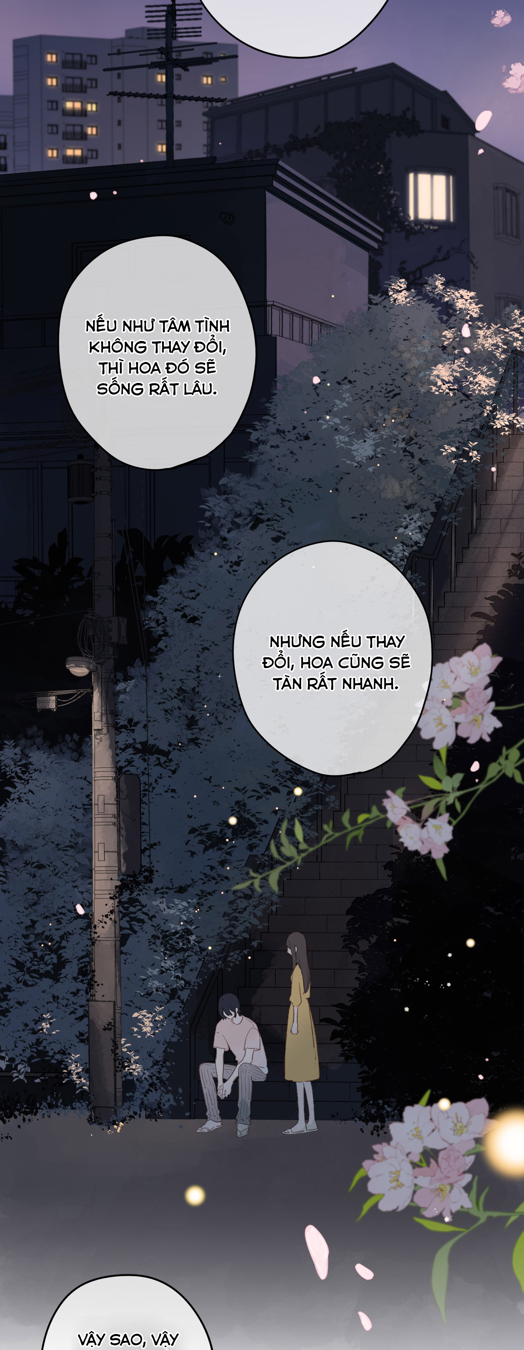 tiệm hoa hướng dương ở góc phố chapter 12 31