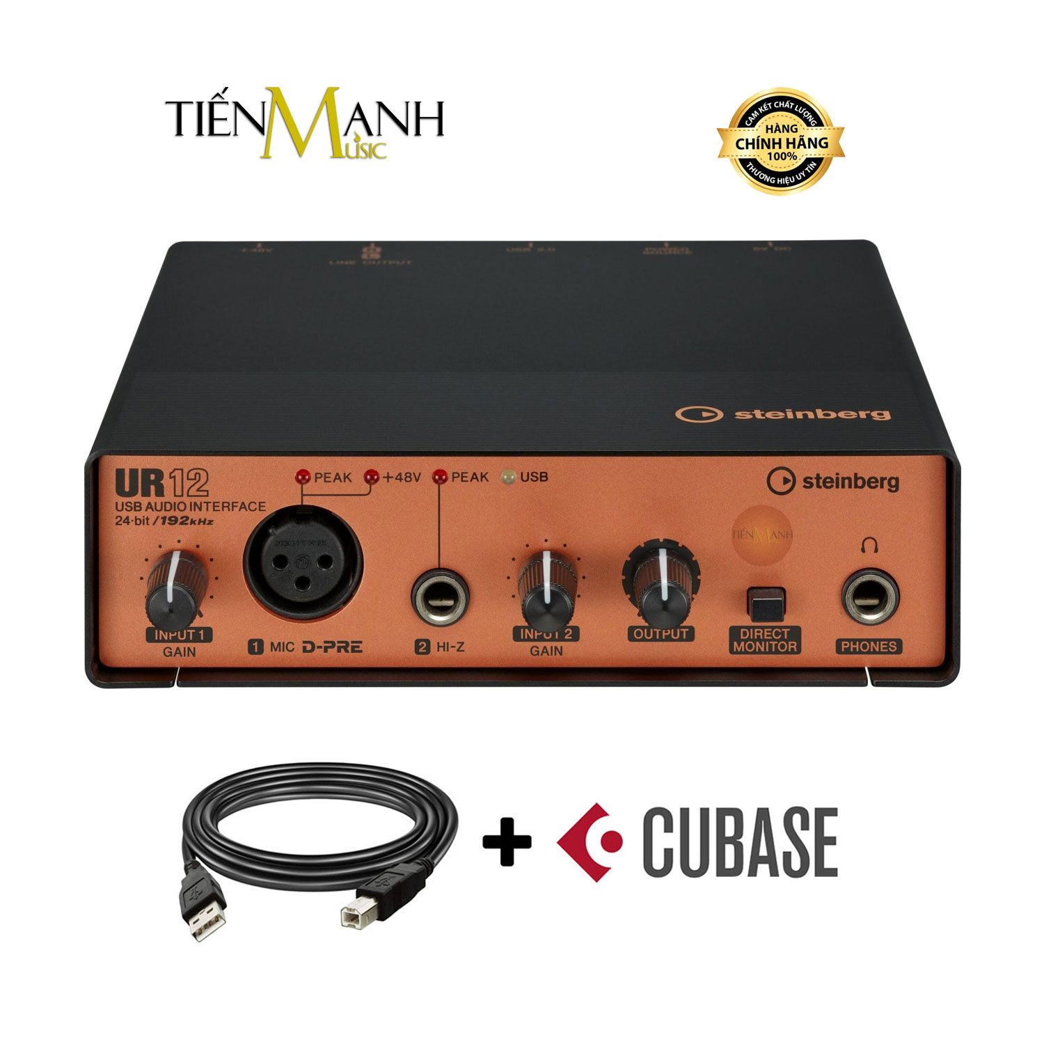 Soundcard Steinberg UR12 - Sound Card Bộ Thu Âm Thanh và Livestream USB Audio Interface UR12B Hàng Chính Hãng - Kèm Móng Gẩy DreamMaker