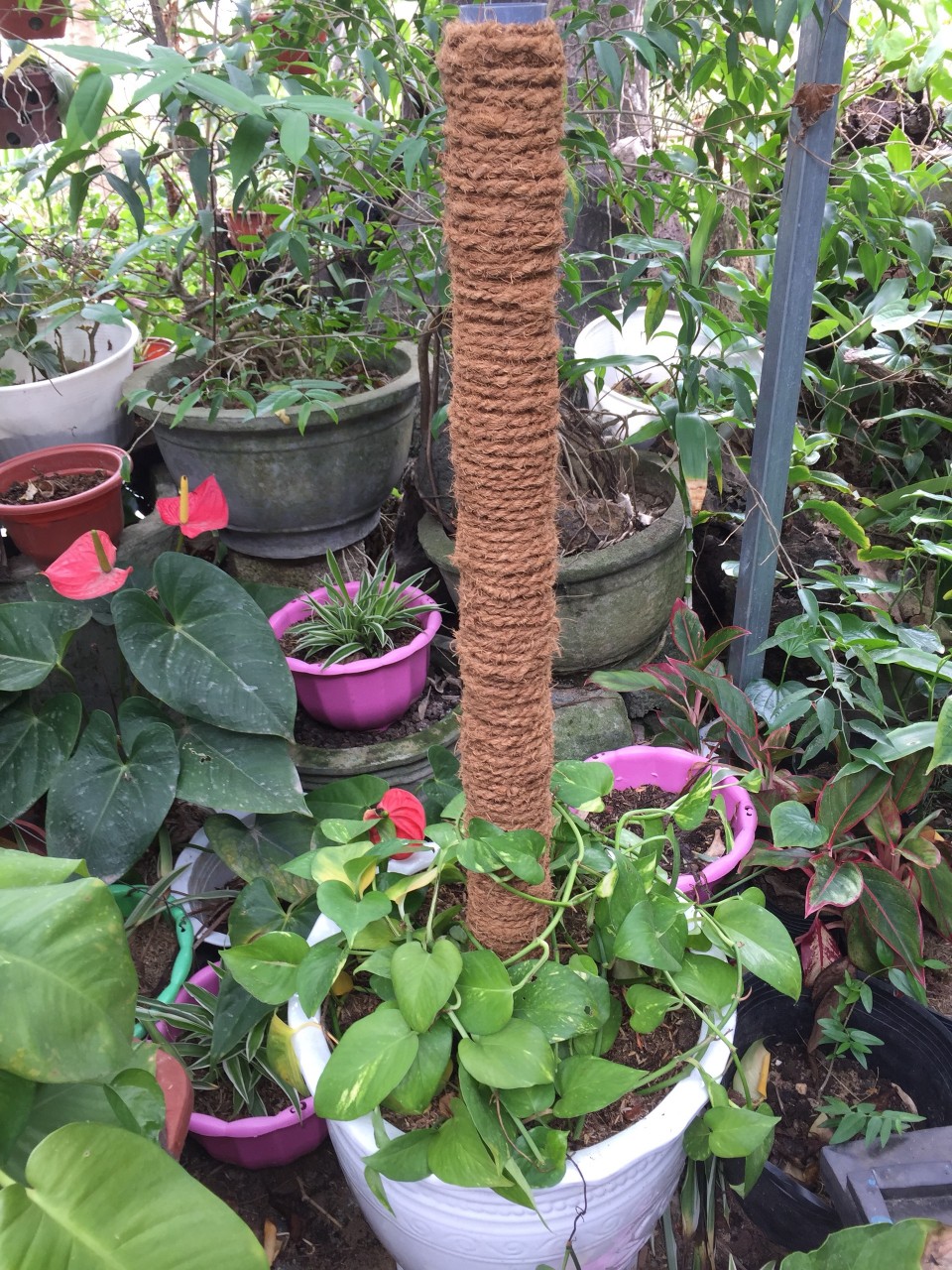 DÂY THỪNG TRANG TRÍ GIỎ HOA, CHẬU CÂY CẢNH 5MM