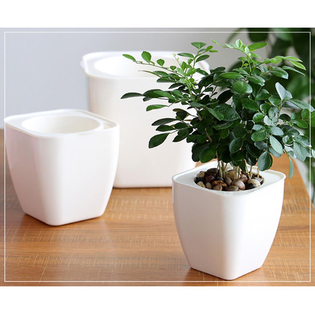 Garden Self-watering Plant Flower Pot  Planter Succulent Box