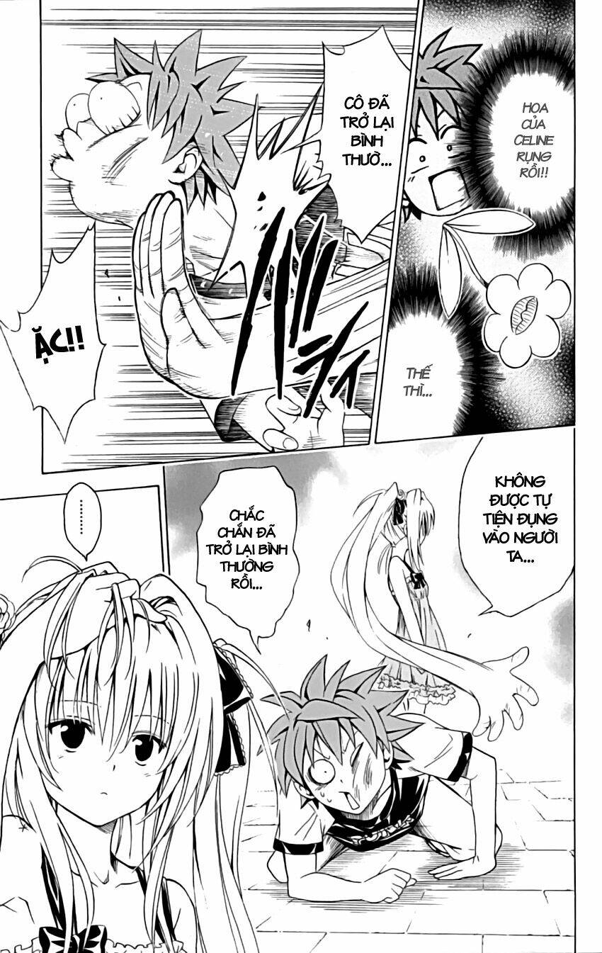 bọn tớ thích cậu! rito chapter 158 18