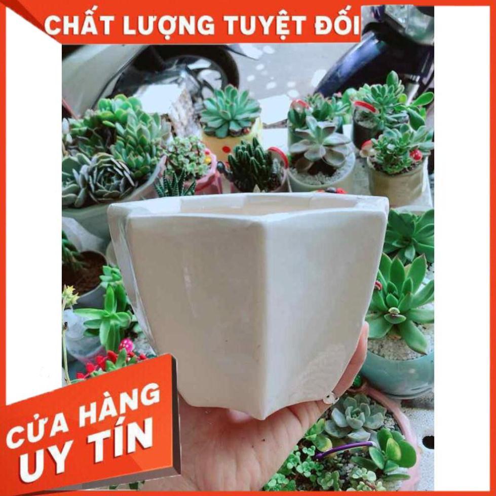 Chậu tráng men Nhiều Người Mua