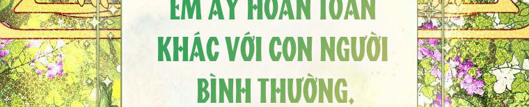 tôi sẽ cố gắng bảo vệ em gái chapter 26 191