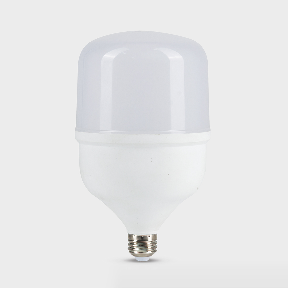 ĐÈN LED Bulb Rạng Đông chuyên dụng cho tàu cá, Model TR100N1.DC/30W, dùng acquy, Sử dụng LED Hàn Quốc