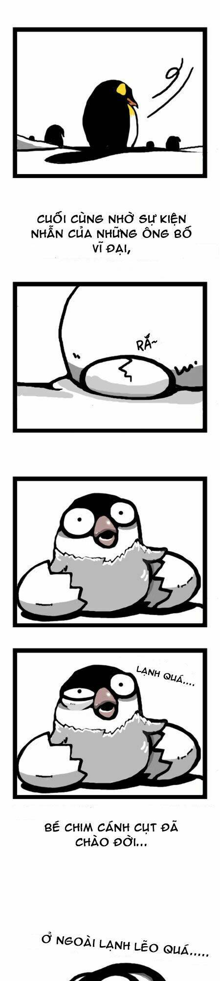 earth, human, and animal chapter 7 13