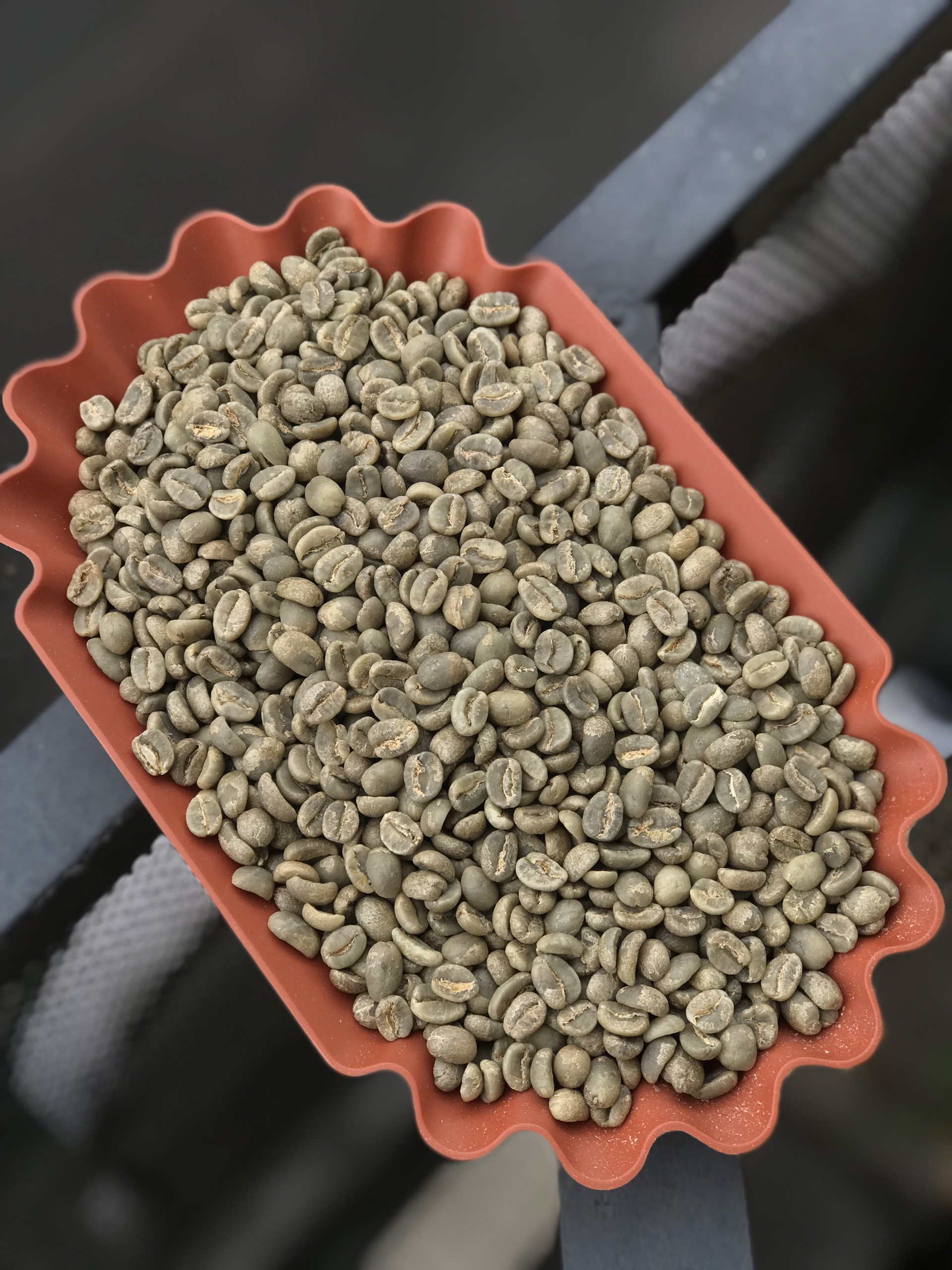 Cà Phê Nhân Xanh Kenya AA Plus Mount  | Amber Specialty Coffee