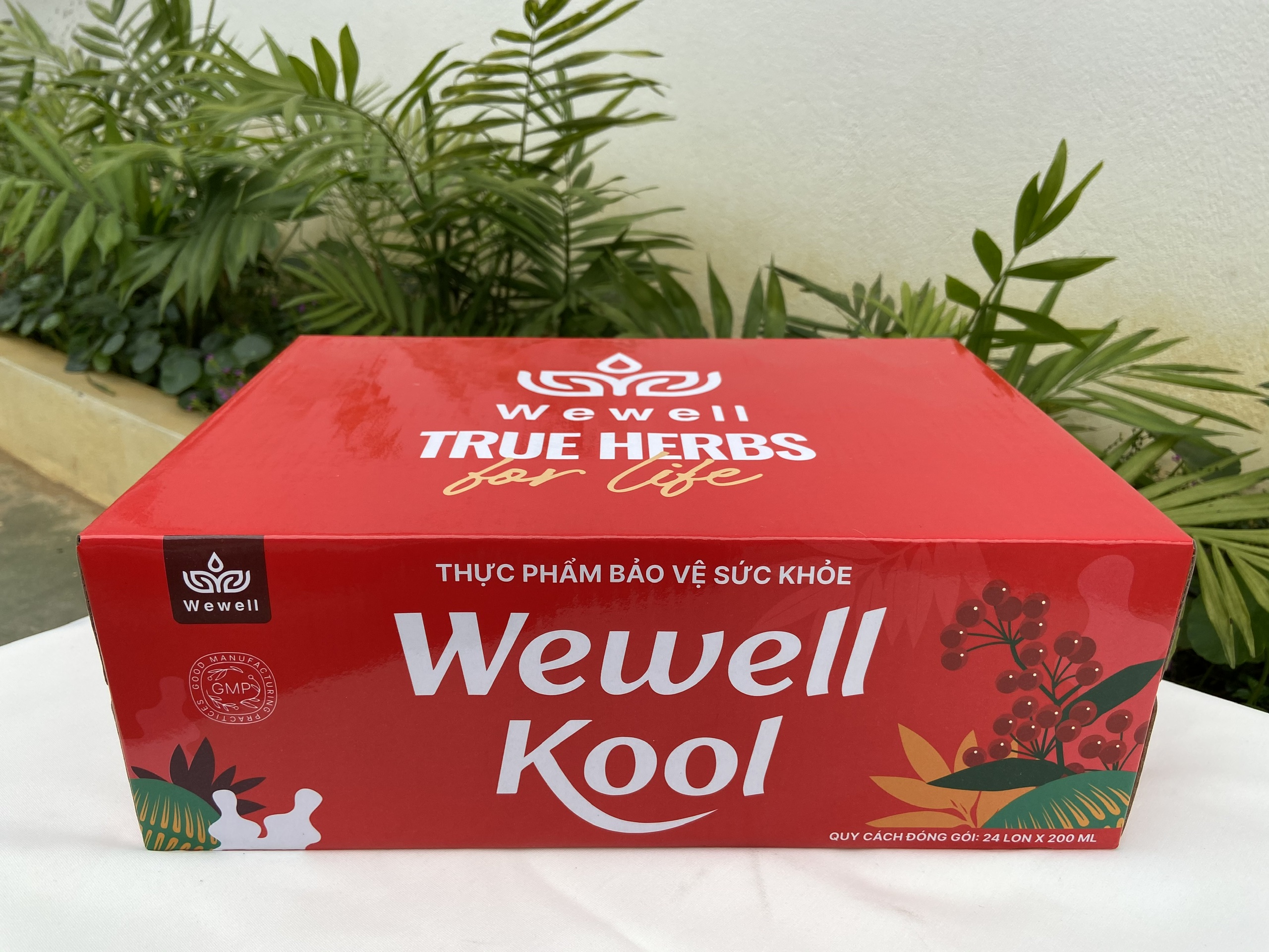 TPBVSK Nước uống thảo dược Wewell Kool (thùng 24 lon) 