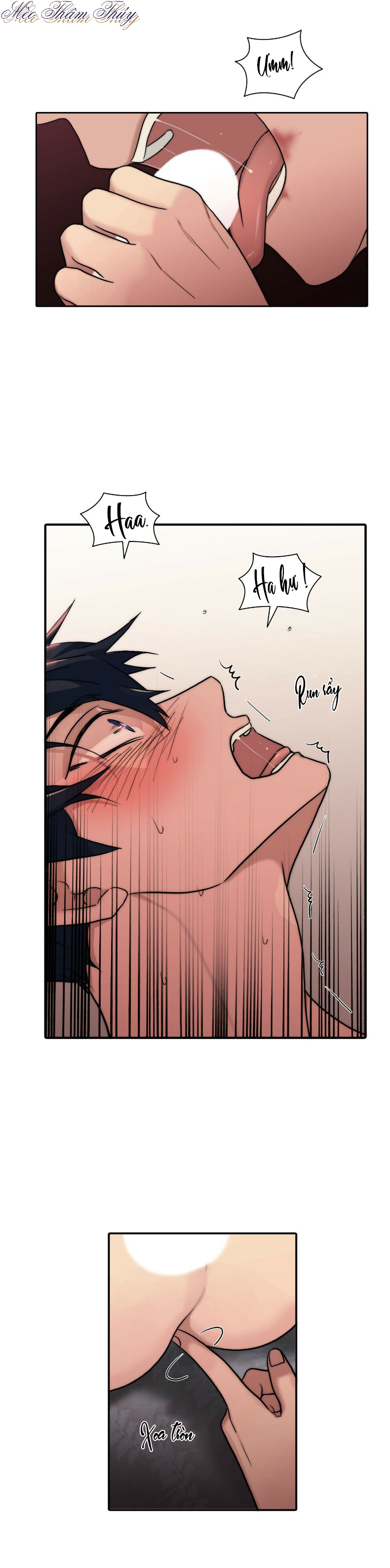 giai điệu của ngôn ngữ chapter 65 5