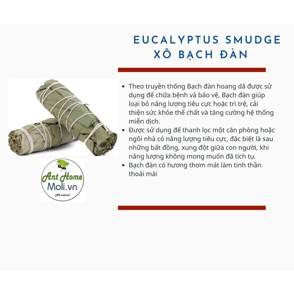 Combo THANH TẨY & BẢO VỆ gồm 2 thanh palo santo và 2 bó xô bảo vệ Bạch đàn