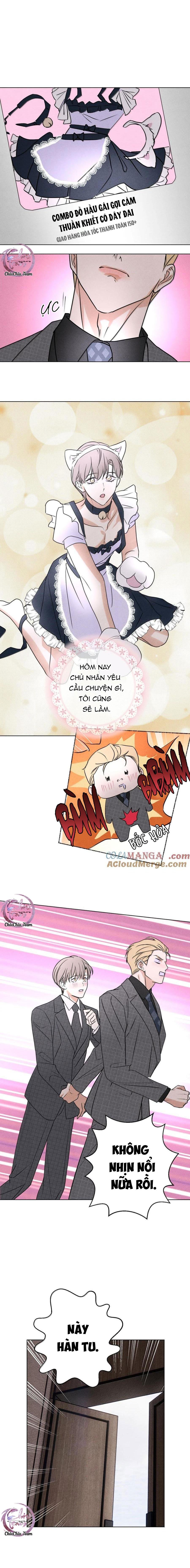 anh trai rẻ tiền của tôi chapter 59 13