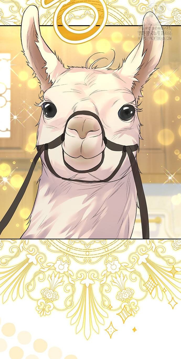 tôi tưởng bản thân không còn sống được bao lâu! chapter 79.2 28