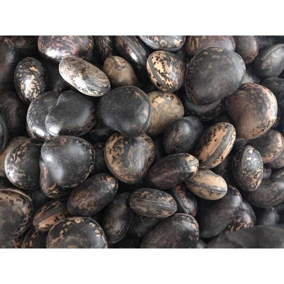 10 Hạt Đậu Lào Loại 01 981SP