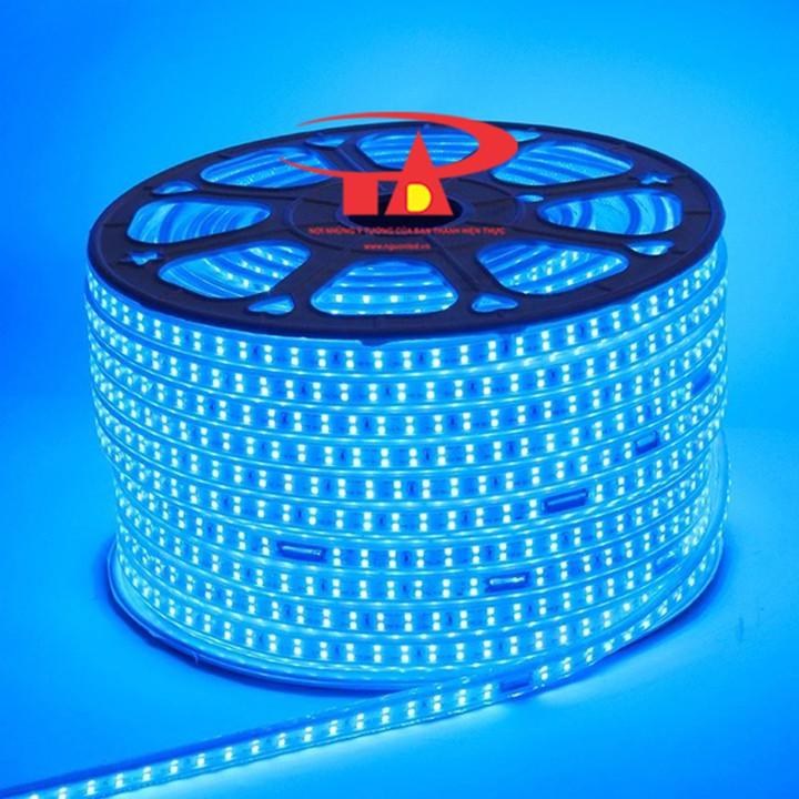 Đèn led dây 2835 màu xanh dương cuộn 100m