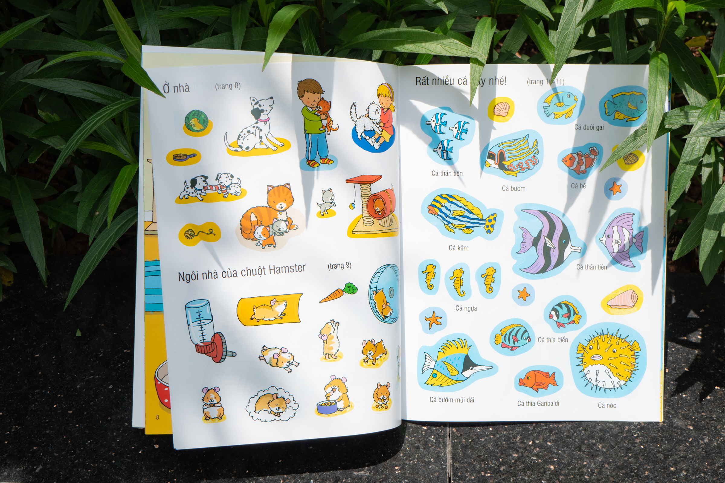 Sách - First Sticker Book - Sách dán hình đầu đời cho bé (Nhiều chủ đề) - Đinh Tị Books