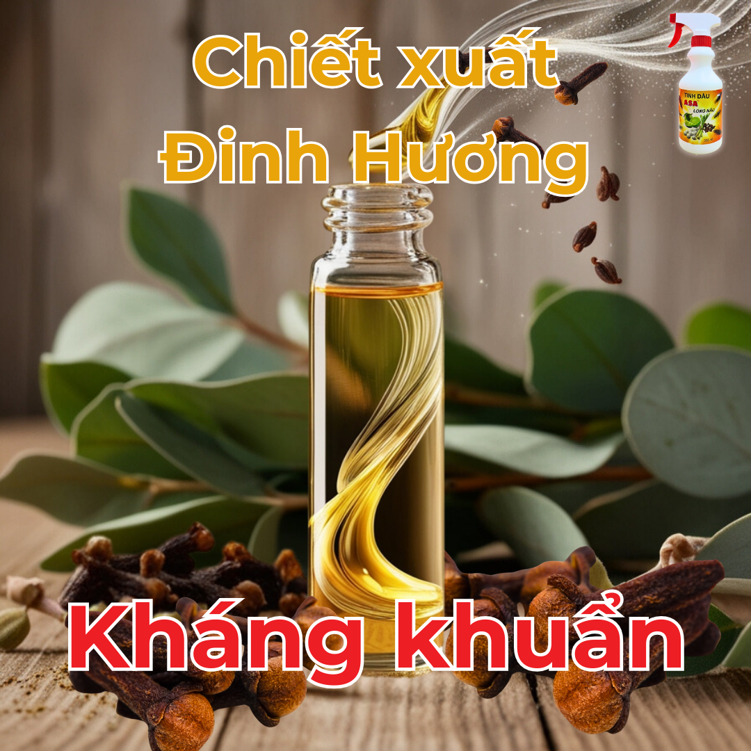 Tinh Dầu ASA Long Não 300ml - Khử mùi hôi nhanh, xua đuổi gián kiến, hạn chế vi khuẩn