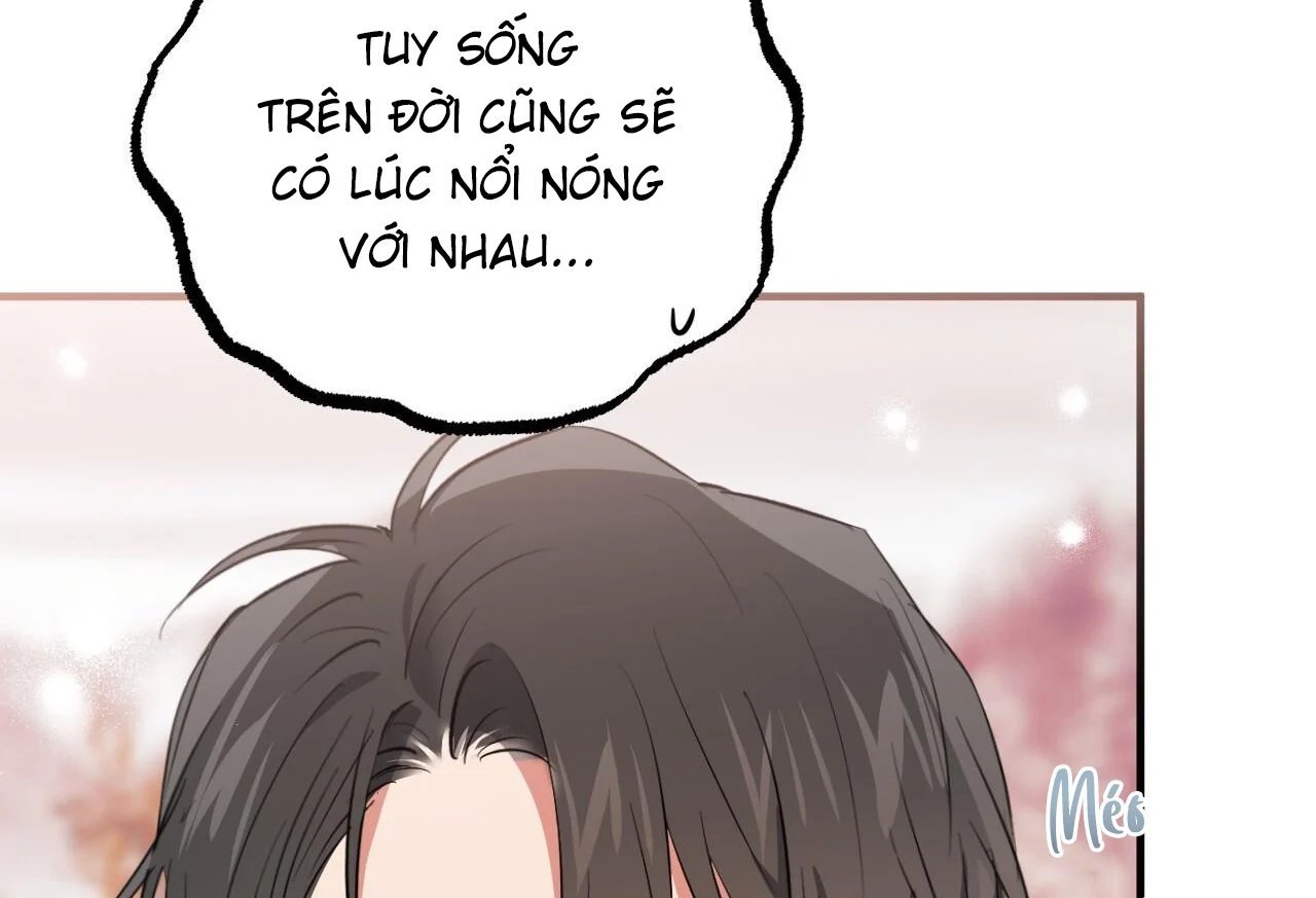 những chú thỏ của hapypy chapter 65 166