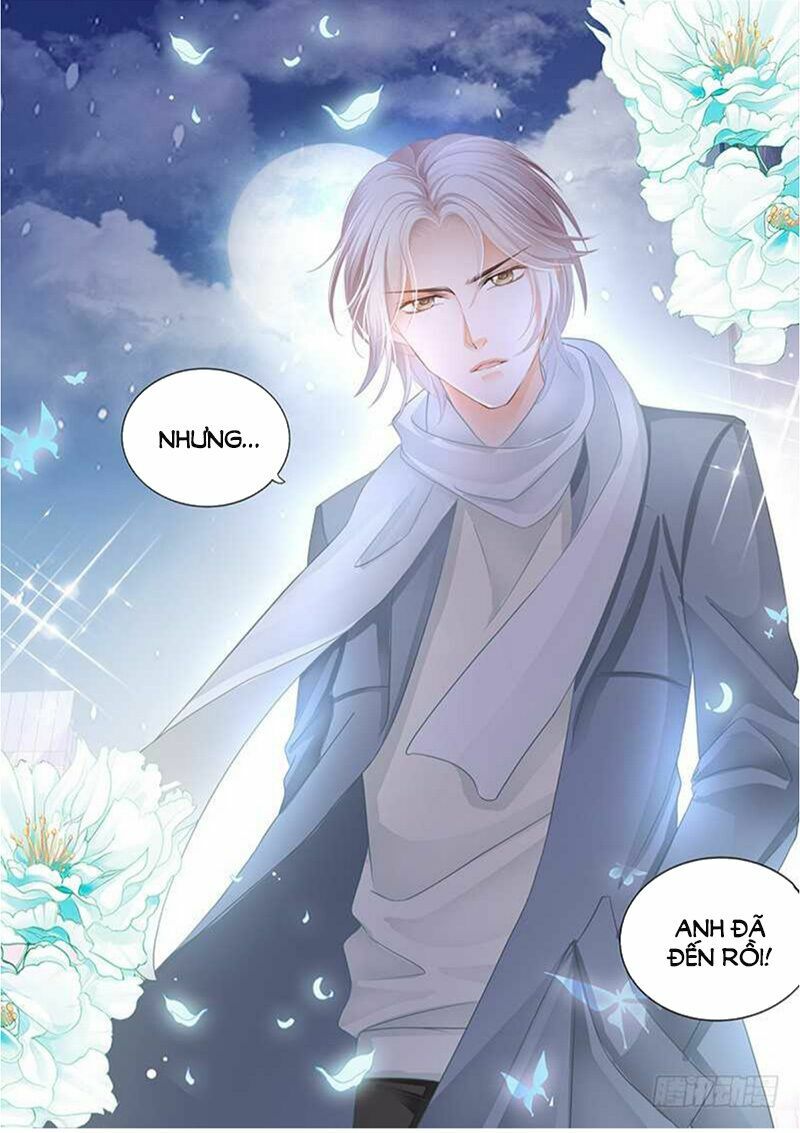 thiểm hôn kiều thê chapter 120 6