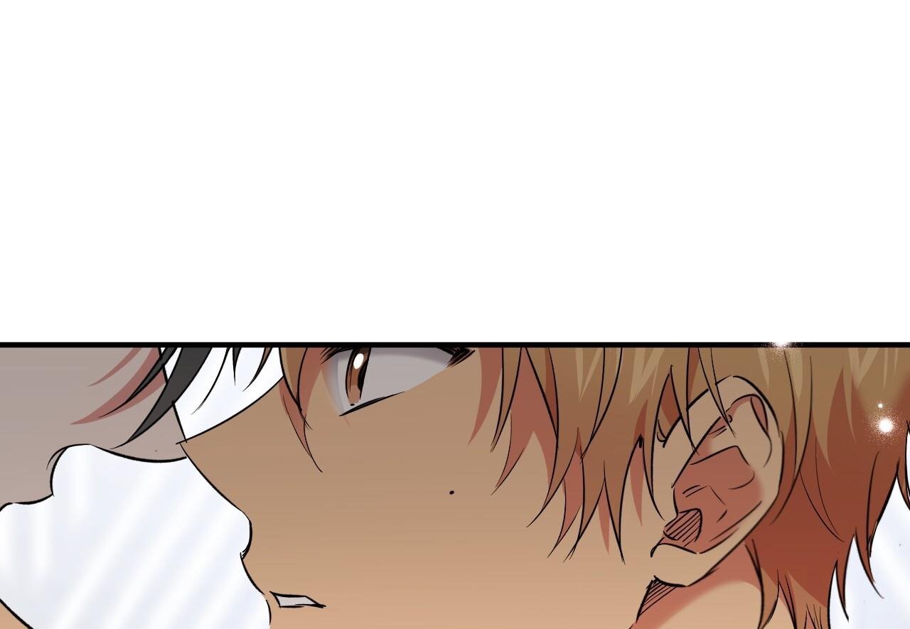 những chú thỏ của hapypy chapter 60 269