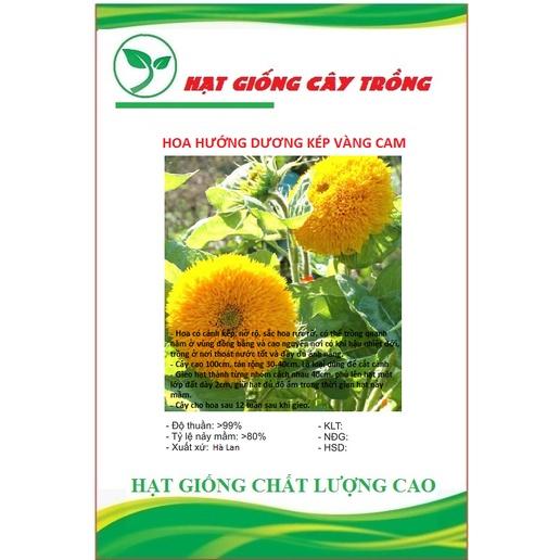 Hạt Giống Hoa Hướng Dương Kép Vàng Cam CT182 - Gói 20 hạt