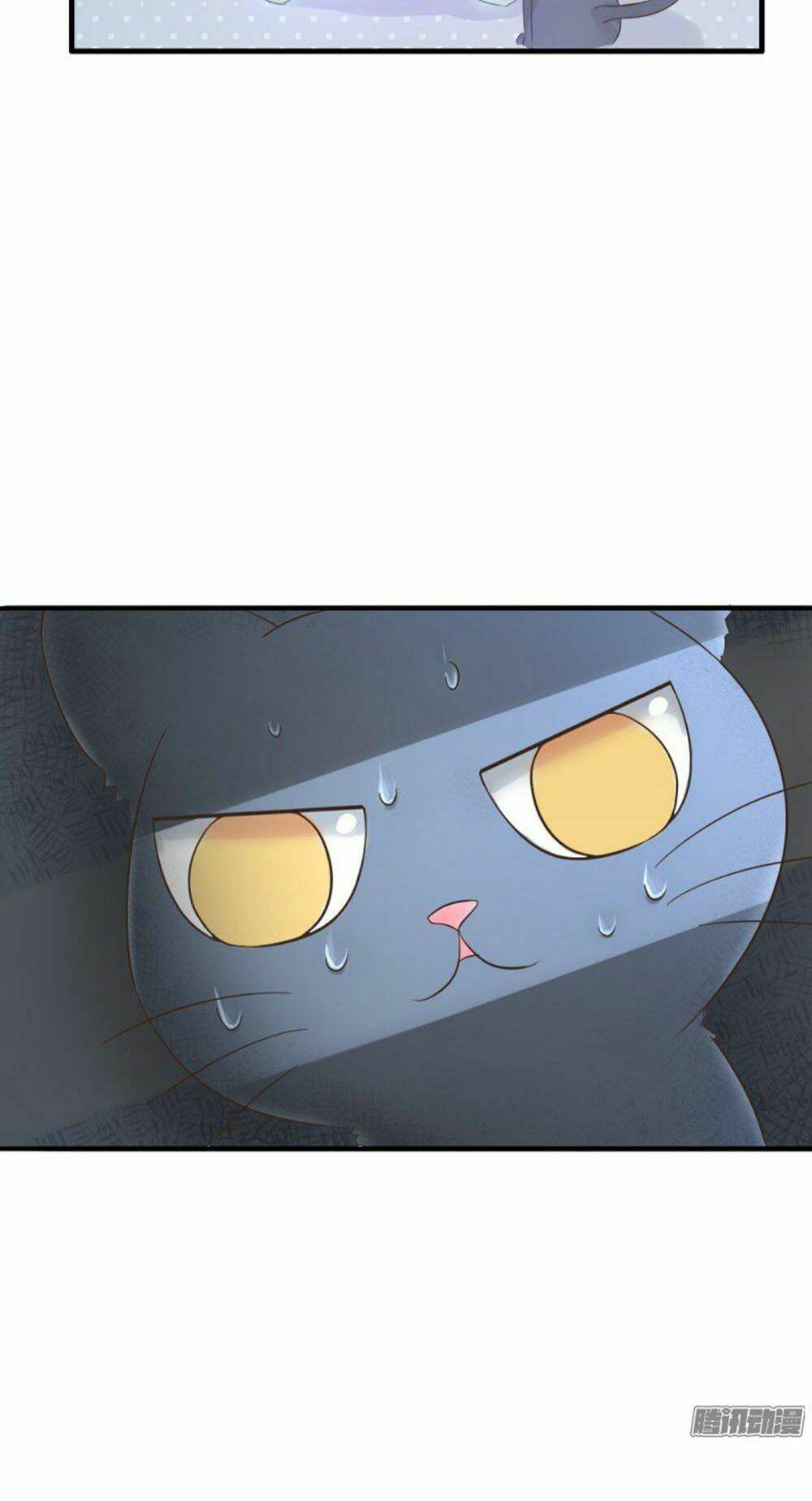 hai chú mèo totem chapter 1 23