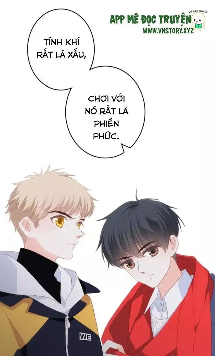 con tim rung động 2 chapter 67 45