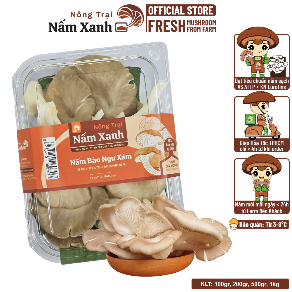 Nấm Bào Ngư Xám Tươi - Nấm Xanh