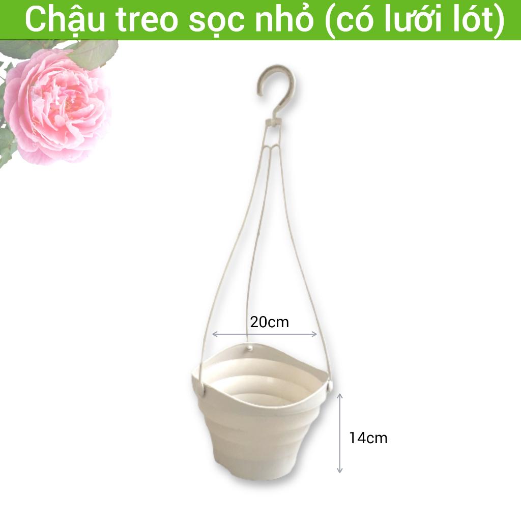 Chậu treo trồng cây kiểng ban công, sân vườn hình gân sóng