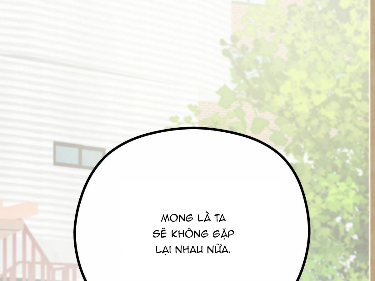 tương phùng chapter 13 167