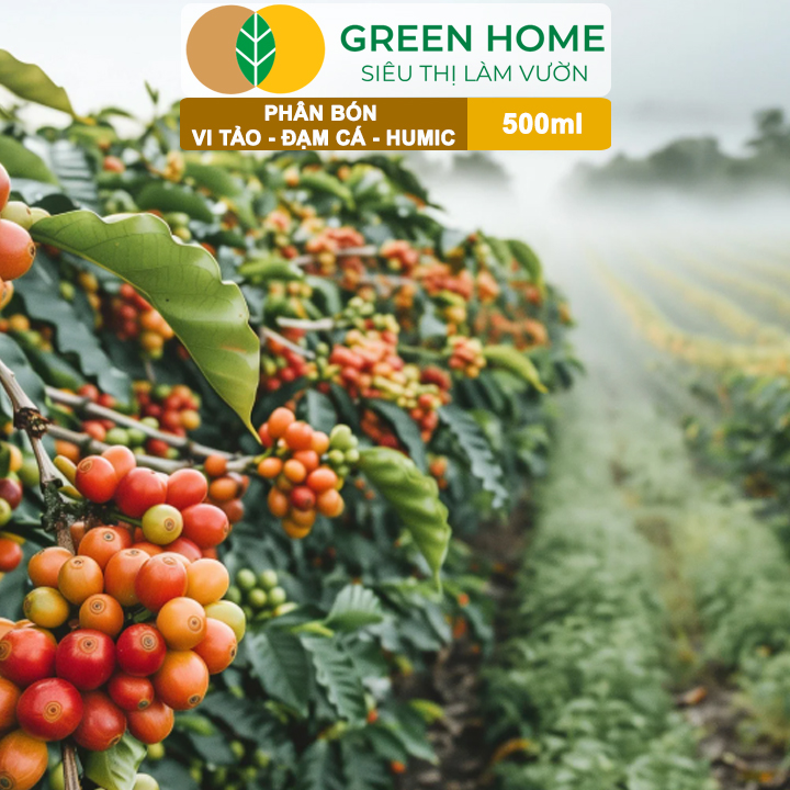 Phân Đạm Cá - Vi Tảo - Humic GreenHome, Chai 500ml, Siêu Vọt Đọt, Kích Rễ Mạnh Mẽ Cho Mọi Cây Trồng