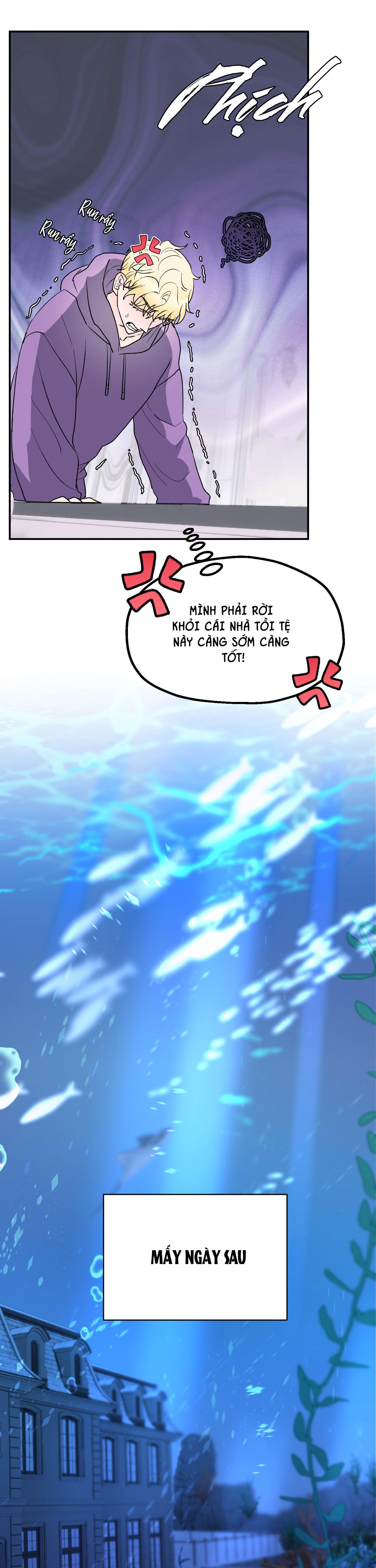 cá mập và cô dâu thỏ chapter 6 9