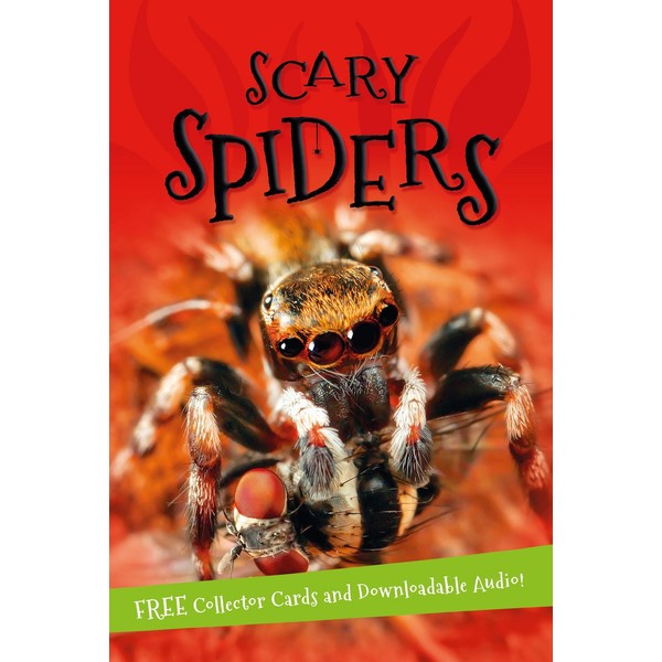 It'S All About... Scary Spiders