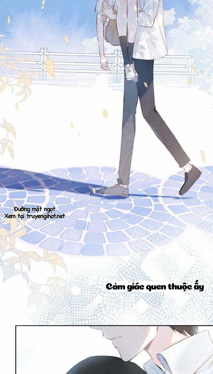 nỗi buồn của hoa cẩm tú cầu chapter 10 12