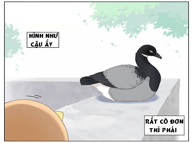 sẻ chiếu mới và nhạn phong sương chapter 10 13