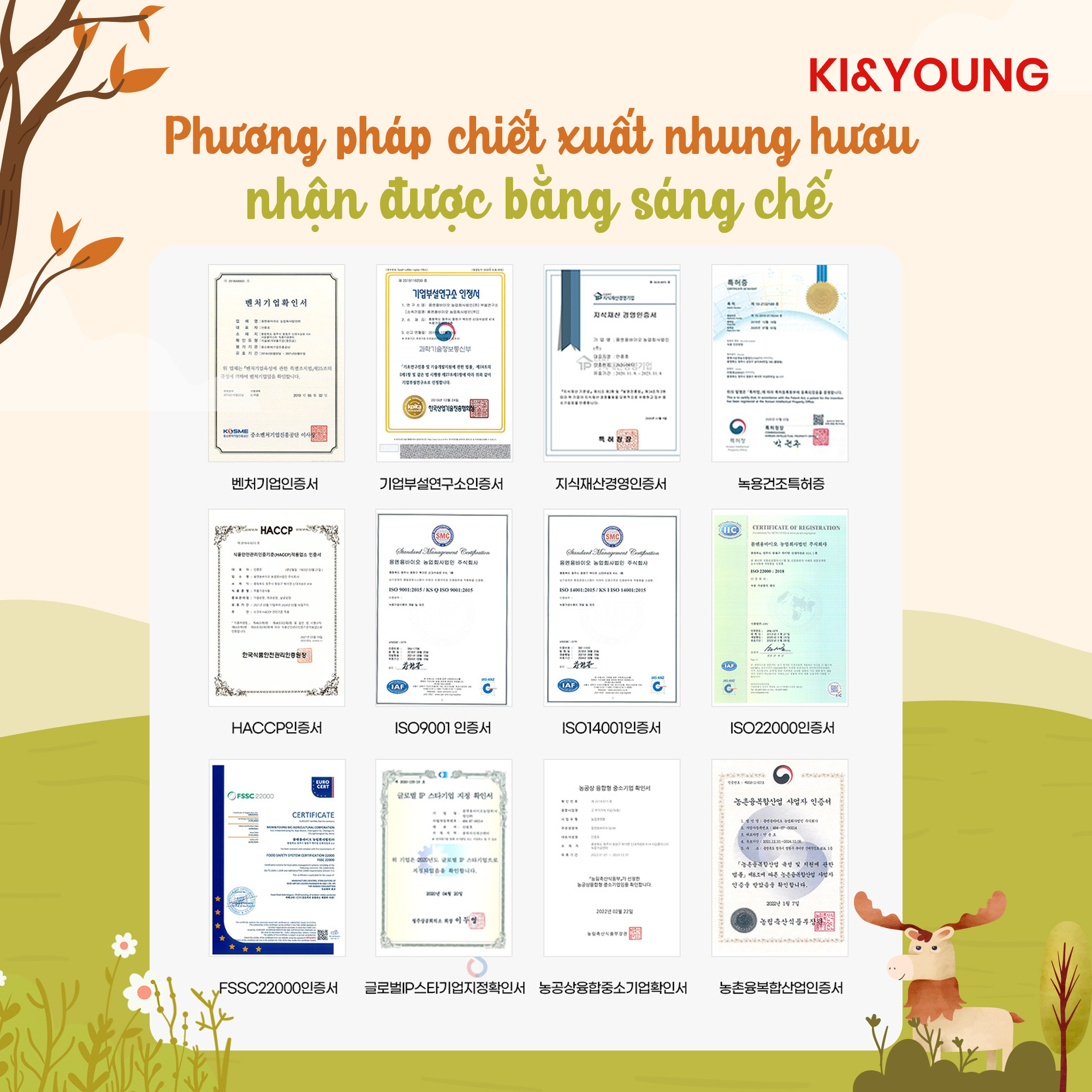 Gạc hươu non/Nước nhung hươu cao cấp Ki&Young cho trẻ từ 1 tuổi - ALADDINVINA