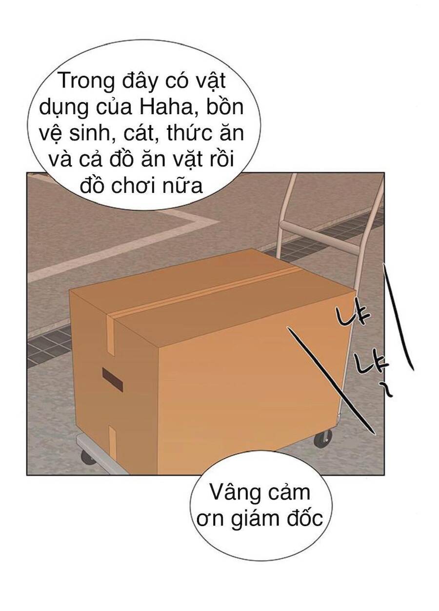 idol và sếp, em yêu ai? chapter 91 5
